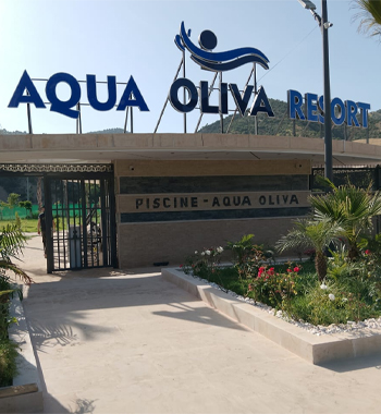 Aqua Oliva